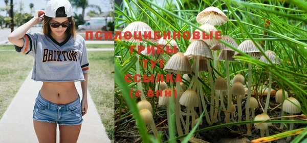 дживик Арсеньев