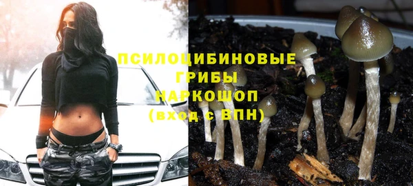 шишки Аркадак