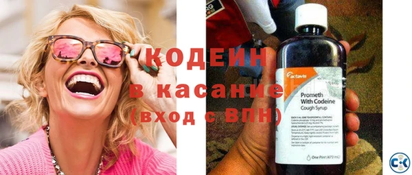шишки Аркадак