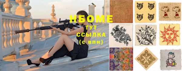 шишки Аркадак