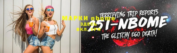 шишки Аркадак